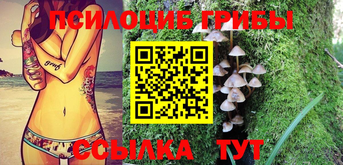 Псилоцибиновые грибы прущие грибы Знаменск